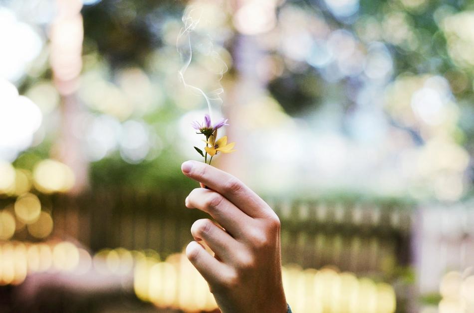 Flower Smoking hand