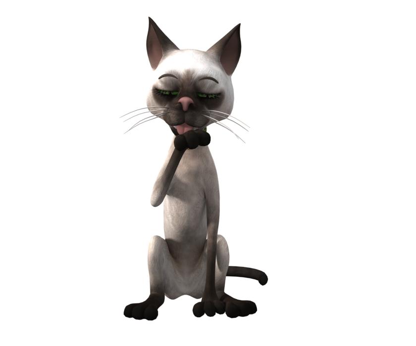 3d funny cat