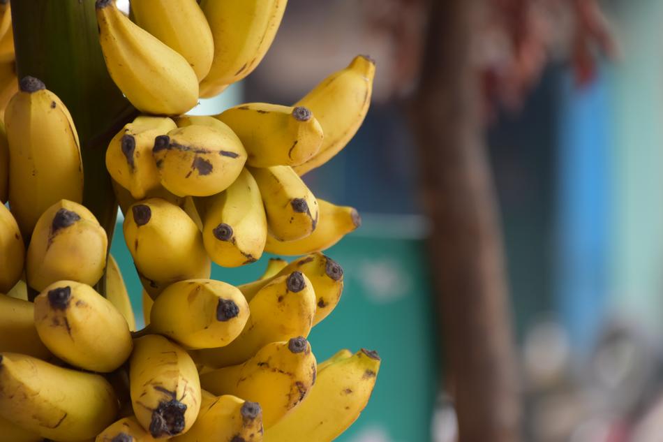 Banana India