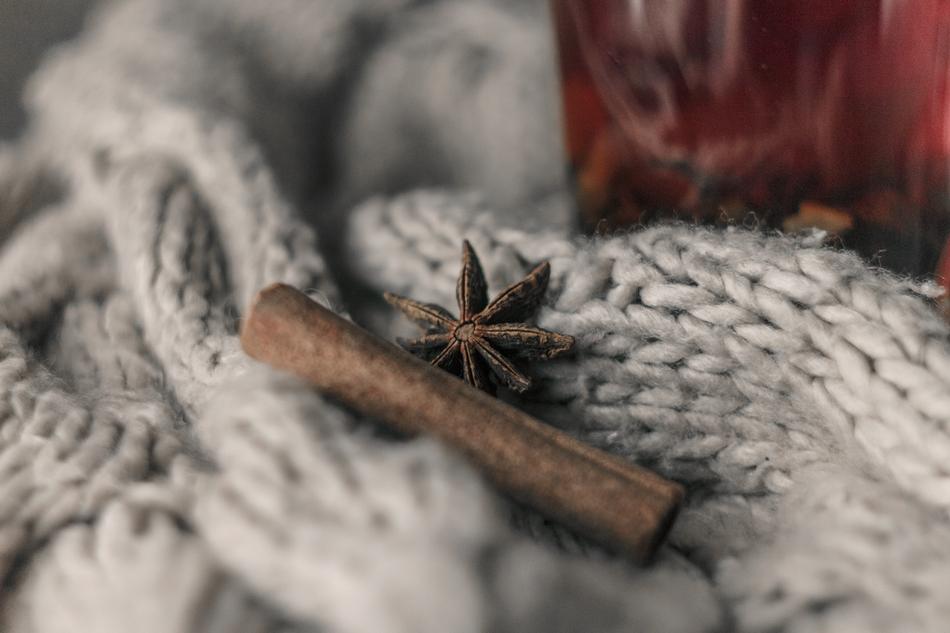 cinnamon on knitted plaid