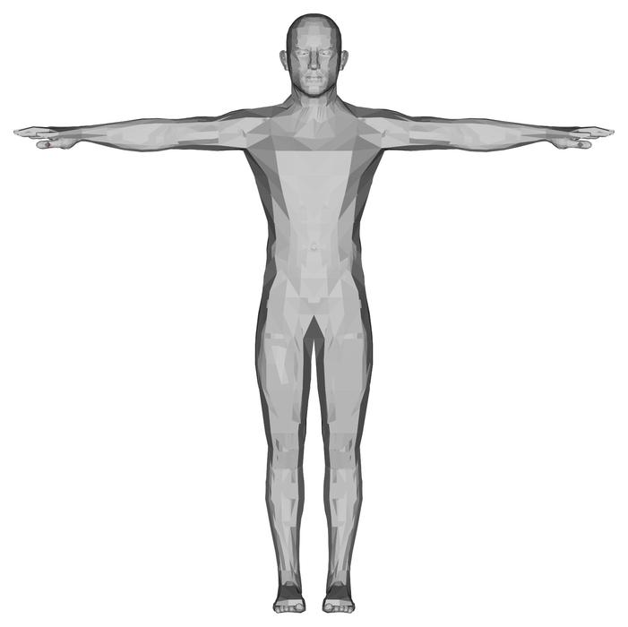 gray silhouette of human anatomy