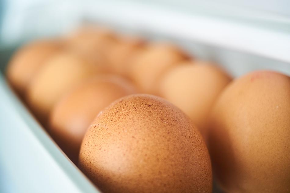 Egg Chicken orange
