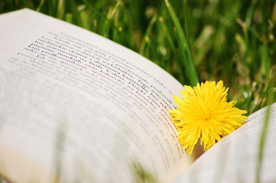 Book and yellow flowers