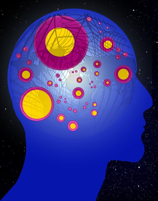 refer to face head drawing