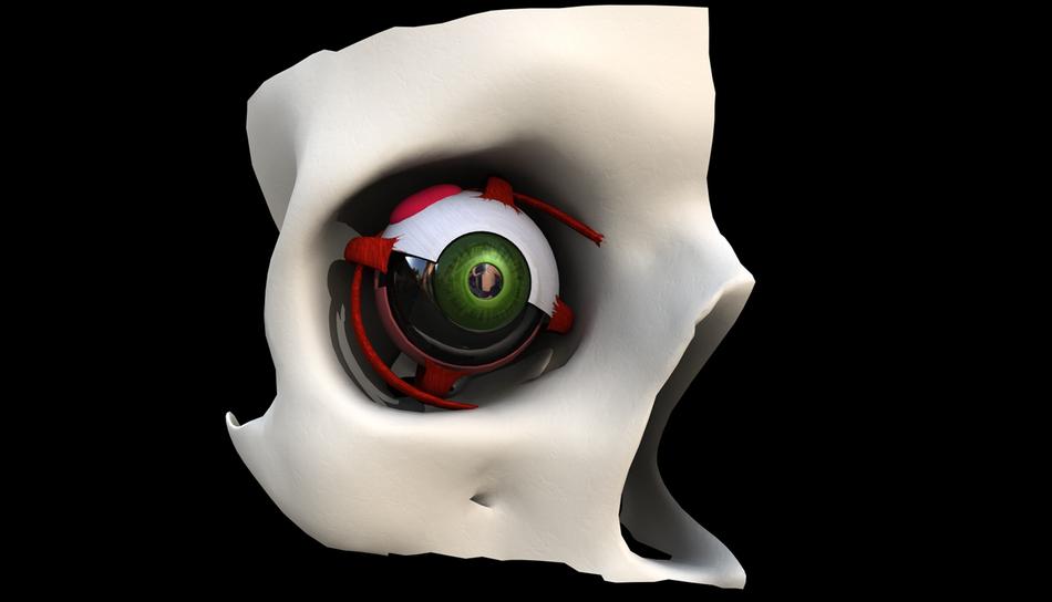 eyesight perceiving model