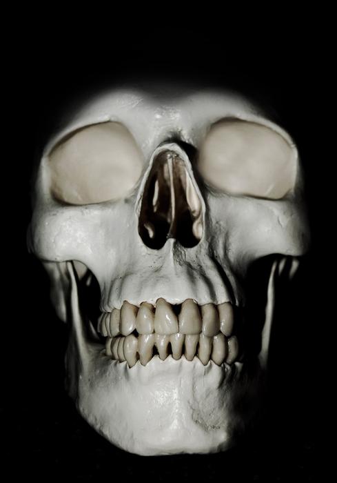 Anatomy, human skull at black Background