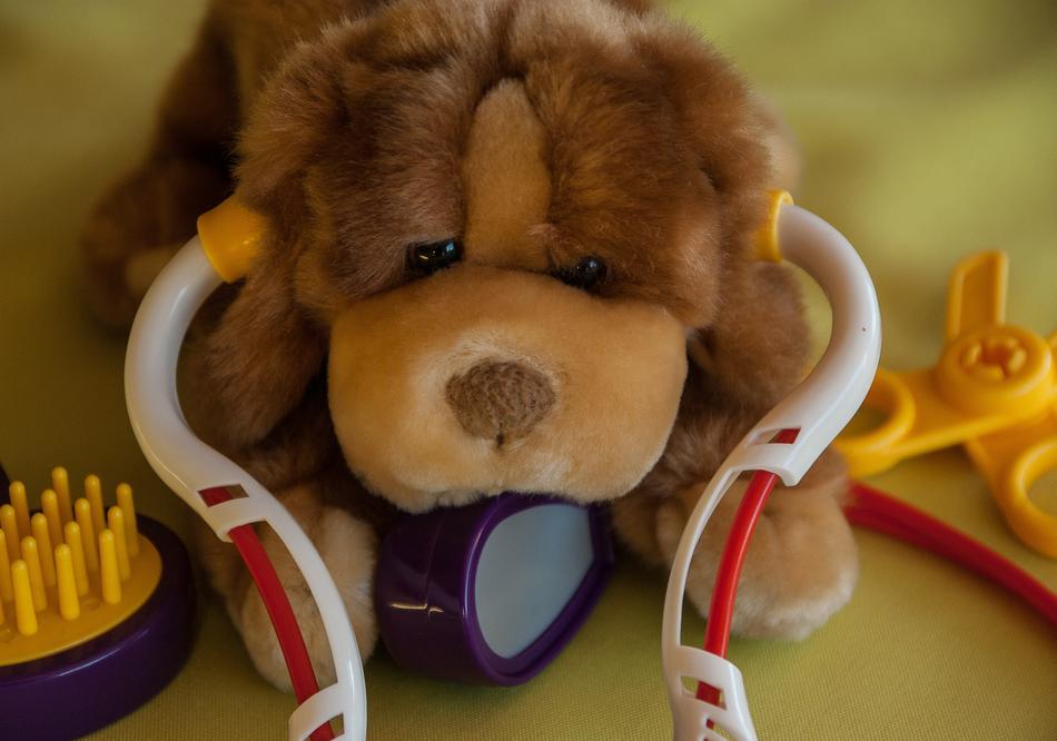 Dog Stethoscope toy