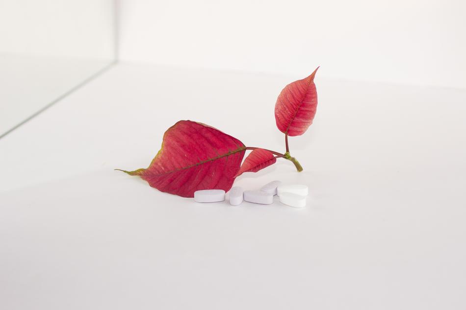 pills and red leaves