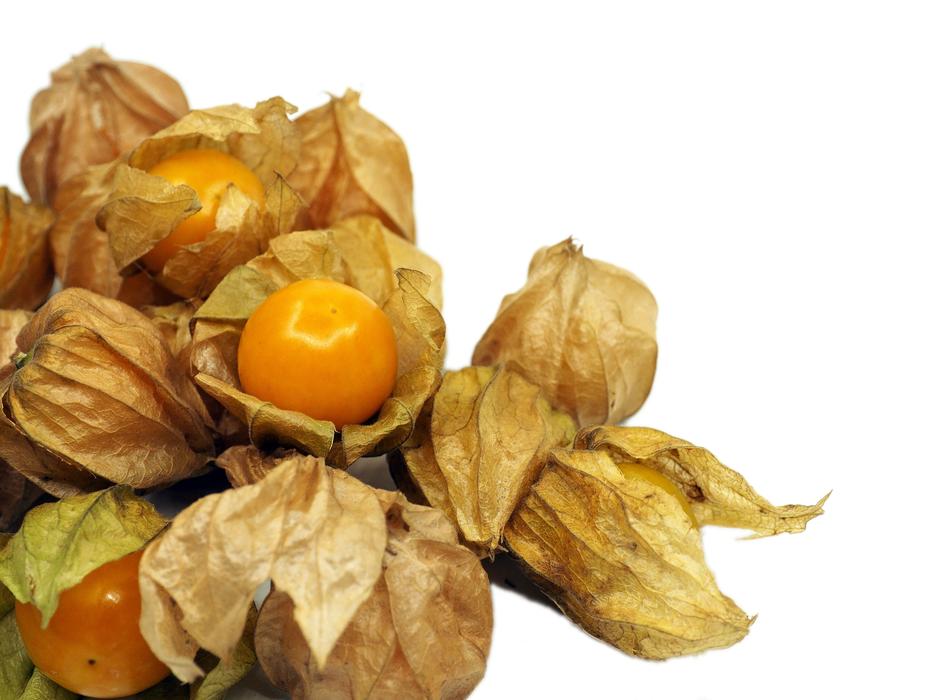 photo of physalis berries on a white background