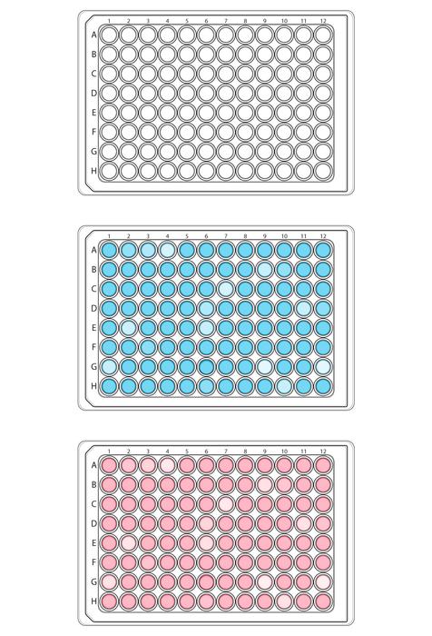 fabric science culture