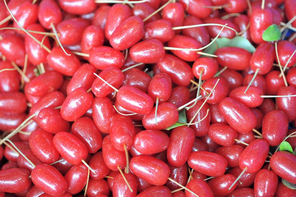 ripe Bodhi berries close up