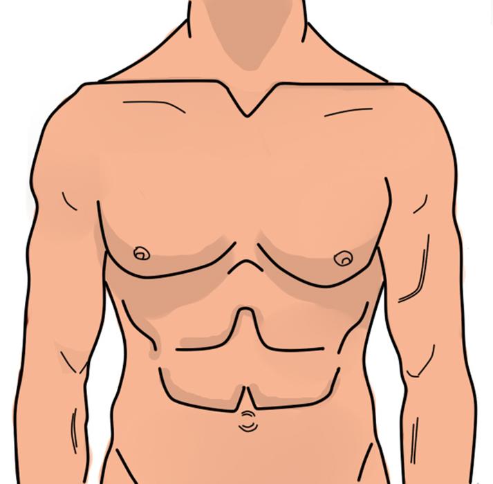 drawing of anatomy person