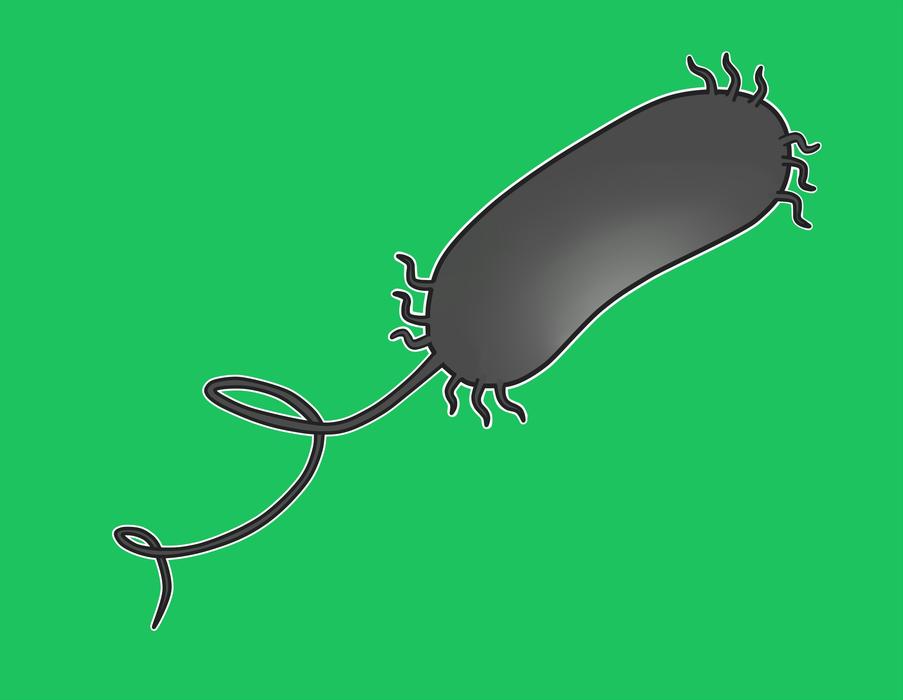Clipart of Pseudomonas Aeruginosa at green background