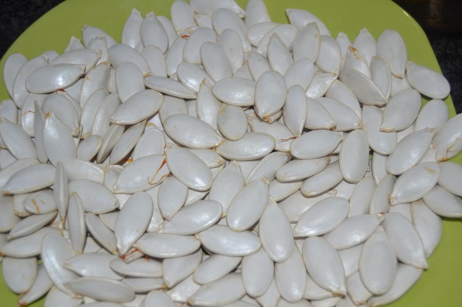 photo of white Pumpkin Seeds