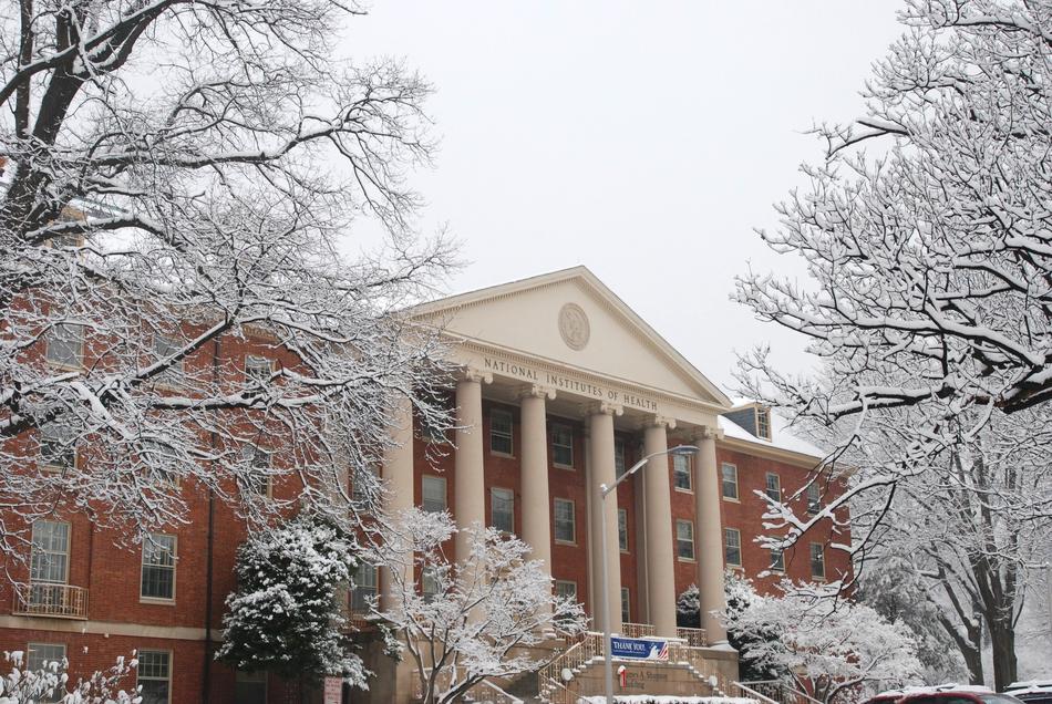 National Institute Of Health at winter