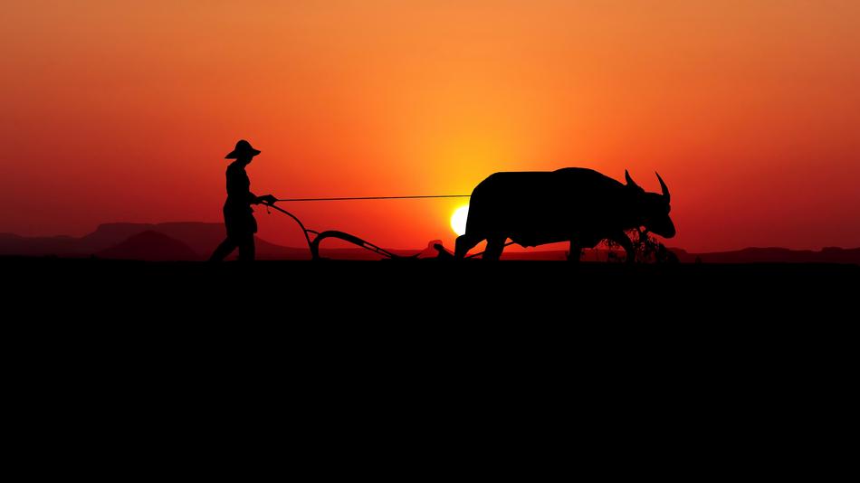 landscape of Asia Labour at Sunset
