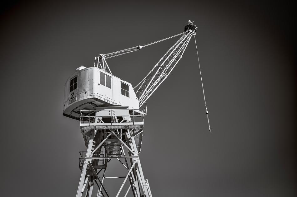 grey Crane Tower