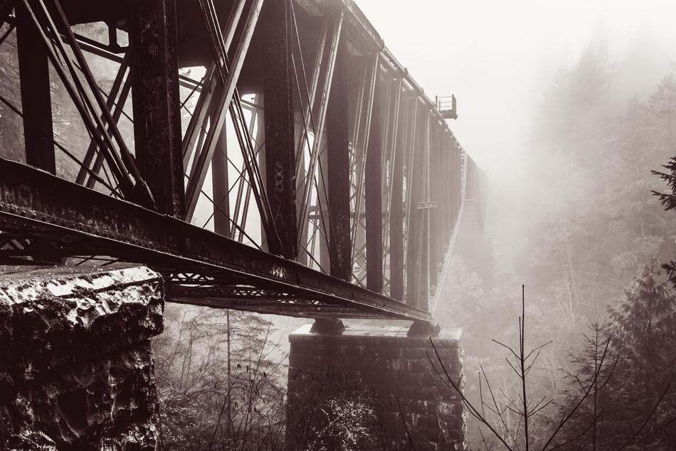 black and white, metal bridge in the morning fog in Goldstream Park, Canada
