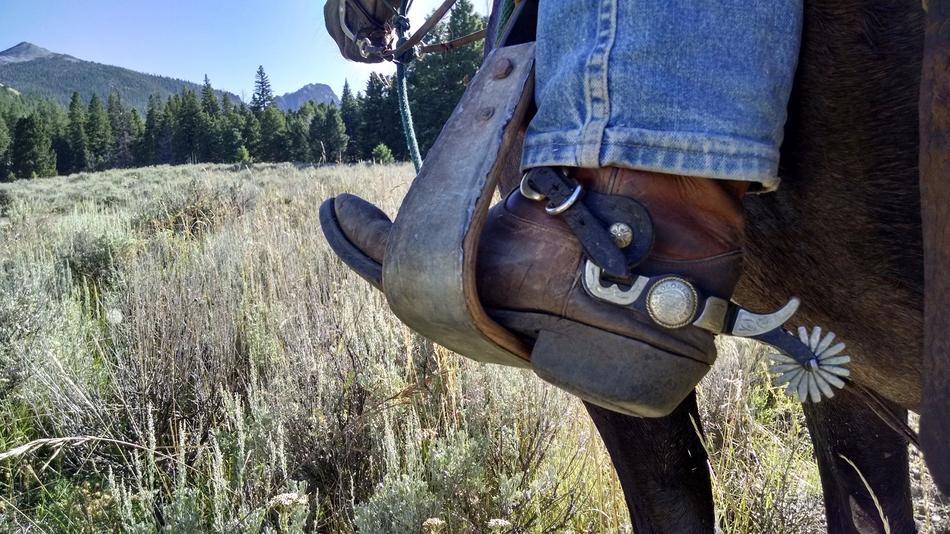 cowboy's leg in a leather boot