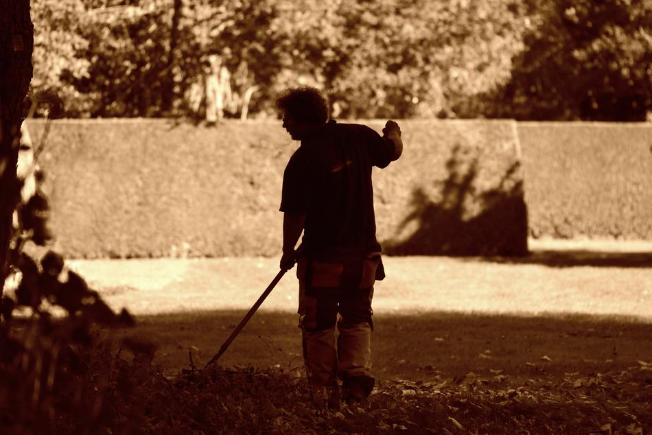 Gardener, Man at work with wall on background