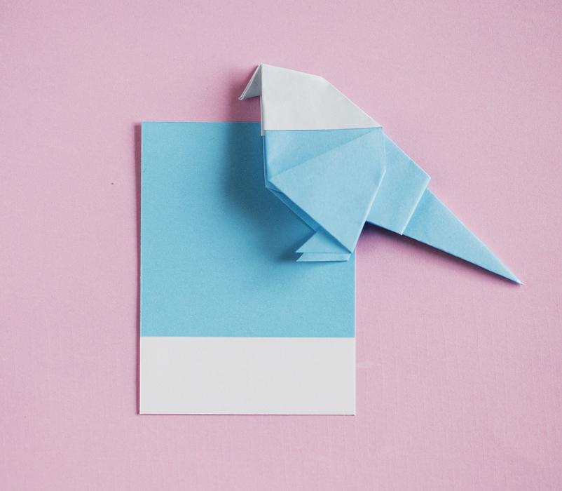pink and blue Animal Art Background