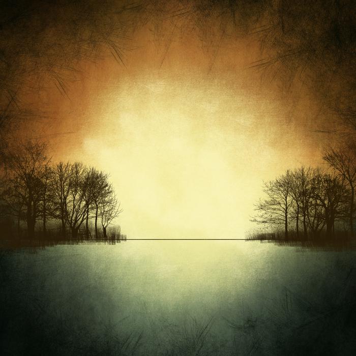 trees by the river against the setting sun