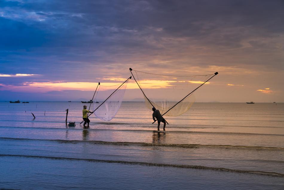 shellfish fishing on the coast at dusk