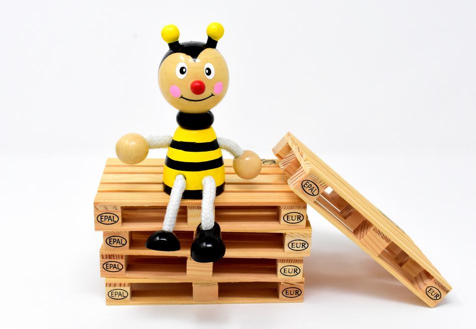 bee on pallets