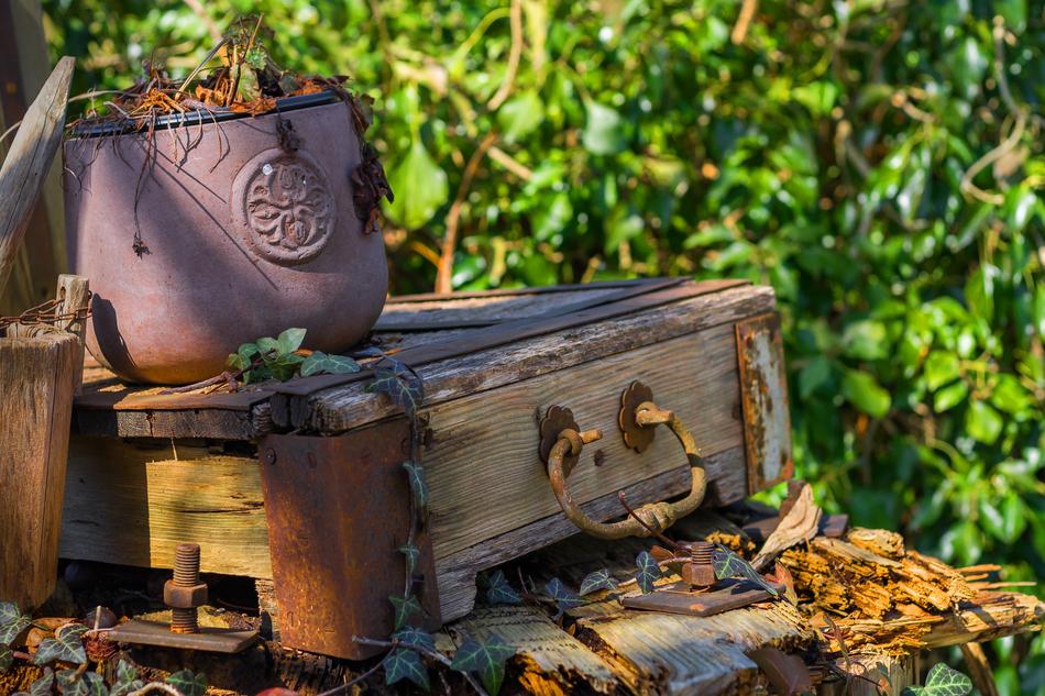 Beautiful, old, weathered box near the green plants