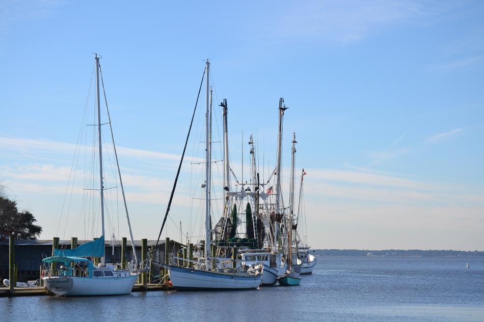 commercial fishing boats on the ocean