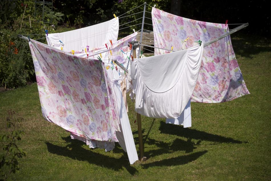 Colorful laundry, hanging, among the colorful plants