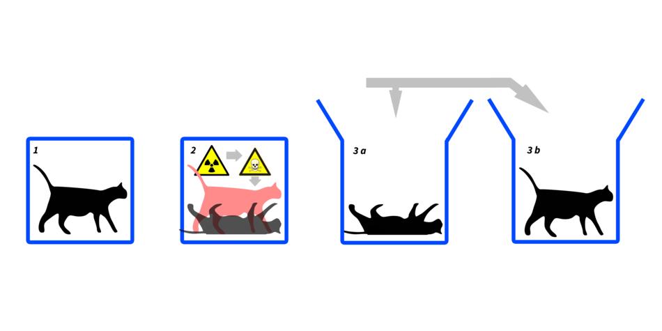 Schrodinger's cat, thought experiment, drawing