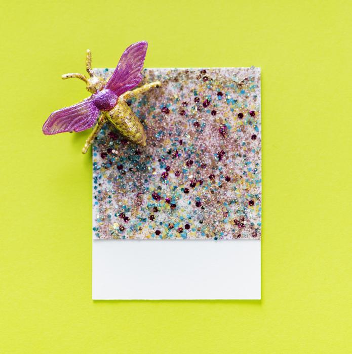 confetti decoration with insect
