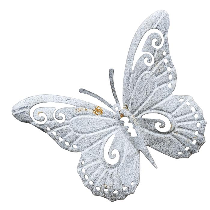 blue butterfly relief