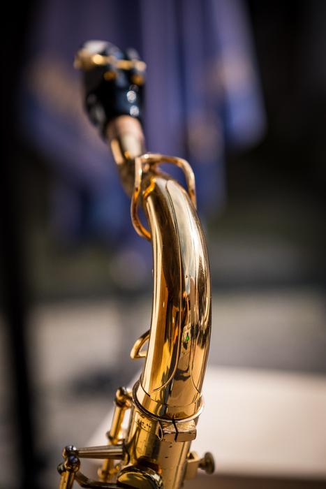 Saxophone S-Bow