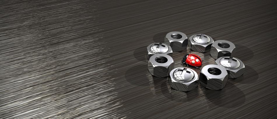 image of a ladybug in the center of a metal nut