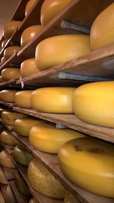 Cheese Craft Mature on Shelf