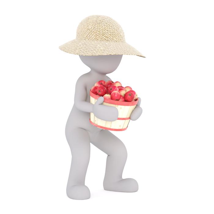 drawn white man in a hat with a bucket of apples