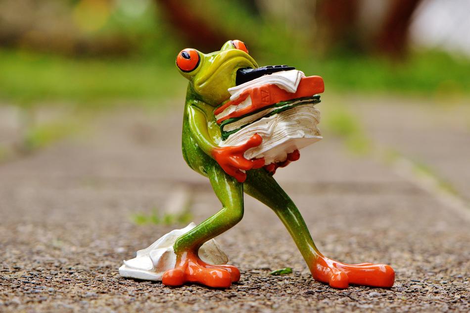 Frog with book ceramic