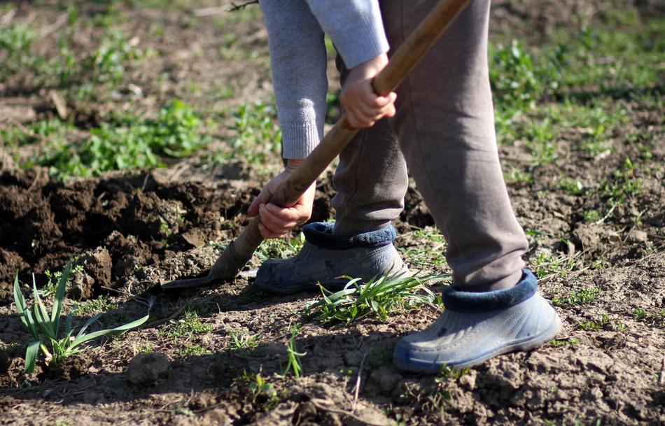 Digging Countryside With A Shovel
