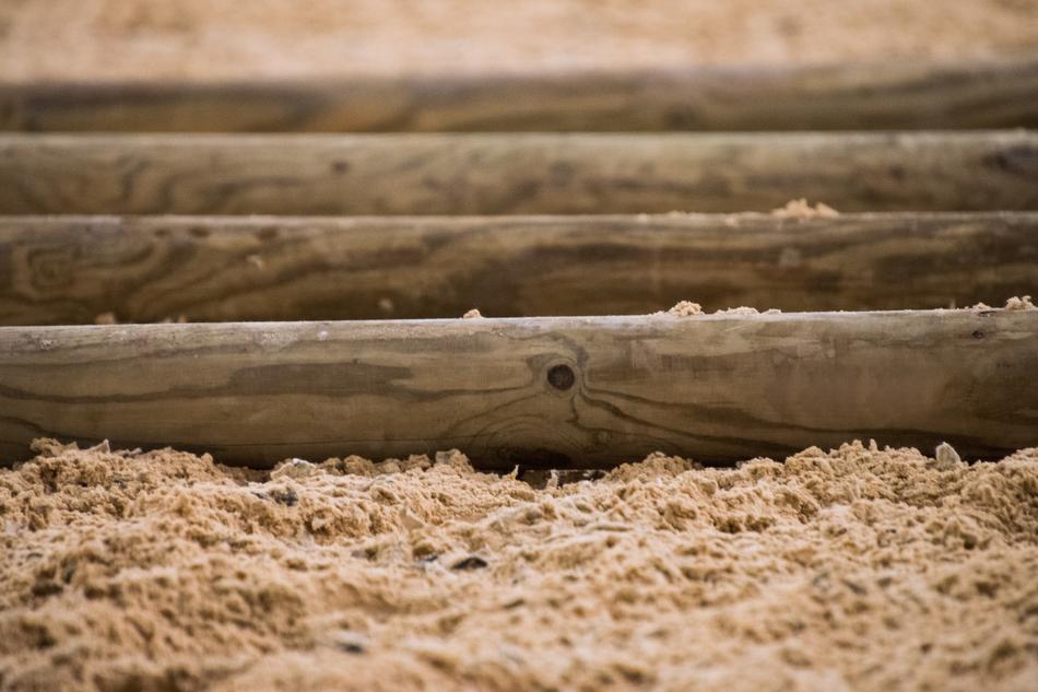 wooden logs in the sand