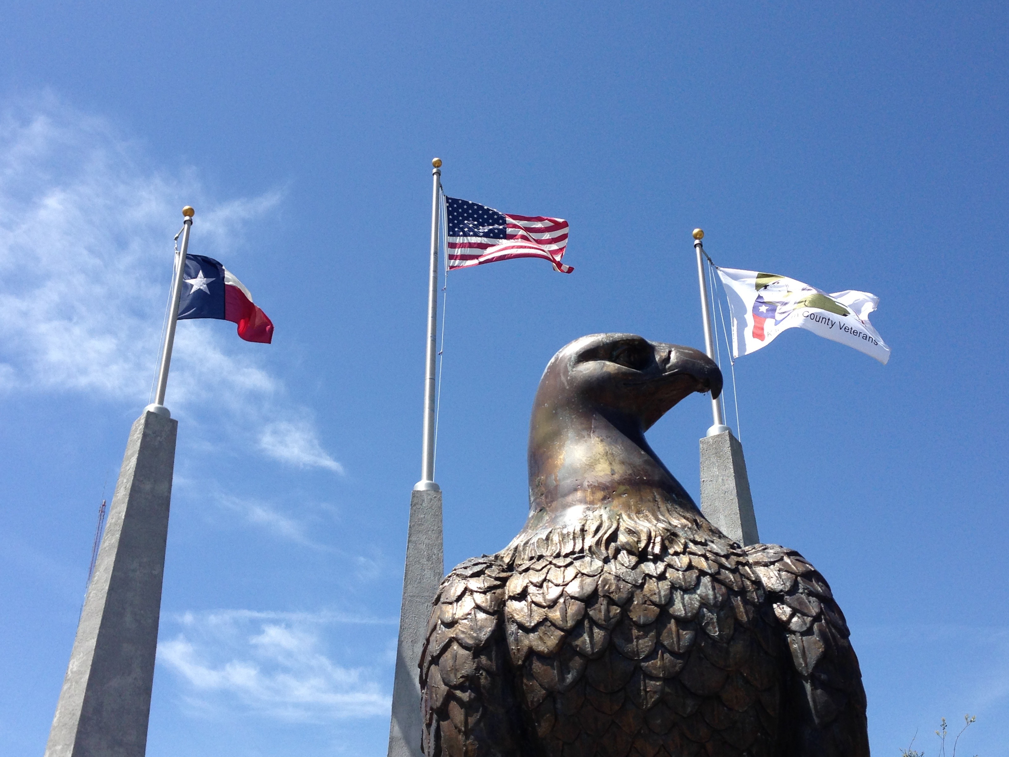 Metal usa. Статуя американского орла. Монумент с орлом в США. Америка Орел памятник. Техасский Орел.