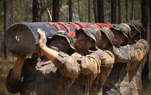 Log Teamwork Training people