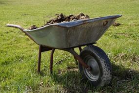 Wheelbarrow with manure on grass