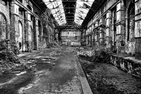 Black and white photo of the beautiful, old, abandoned factory with windows and plants
