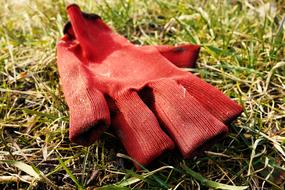 red work gloves on green grass