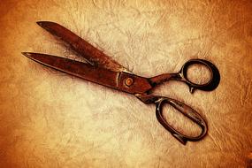 Scissors Old red