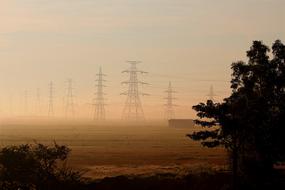 Power Lines Electricity tree fog