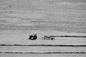 Tractor Field