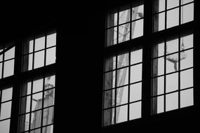 Industry Plant windows black and white